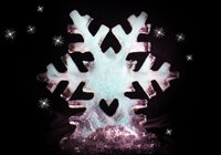 Snow Flake