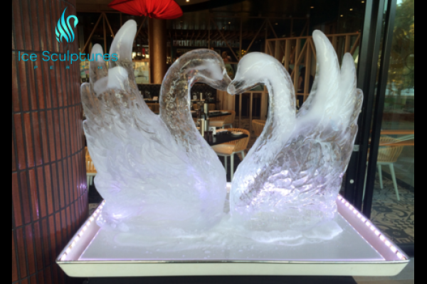 swan-22D091C07-A338-4621-C124-22FB25A70336.png
