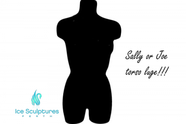 torso-luge-1C18B0EB7-758D-3879-B6BA-1403C291F4C2.png